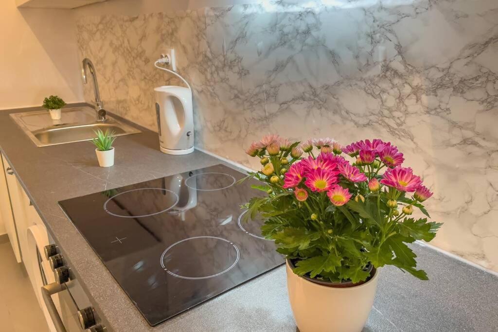 Appartamento Renovated Cosy Studio near Central Station Vienna Esterno foto